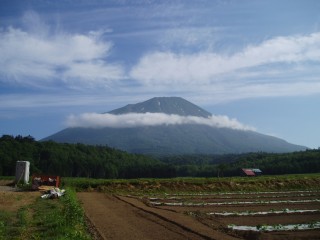 ０７年７月１日の羊蹄山