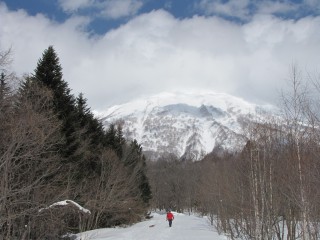 本日の羊蹄山