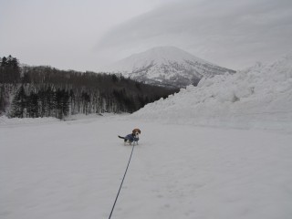 本日の羊蹄山