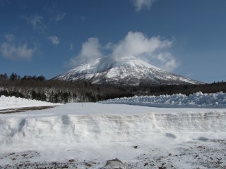 本日の羊蹄山。