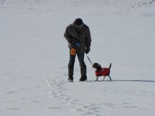 おやつはまだですか？