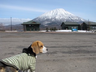 本日の羊蹄山