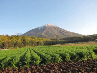 羊蹄山 09-10-10