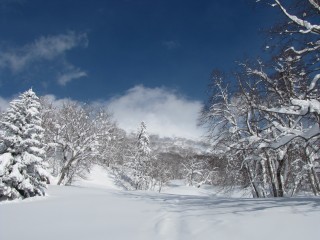 羊蹄山１０－０２－０４